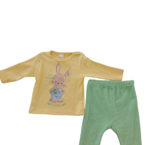 2-piece set(pants and long-sleeved T-shirt)