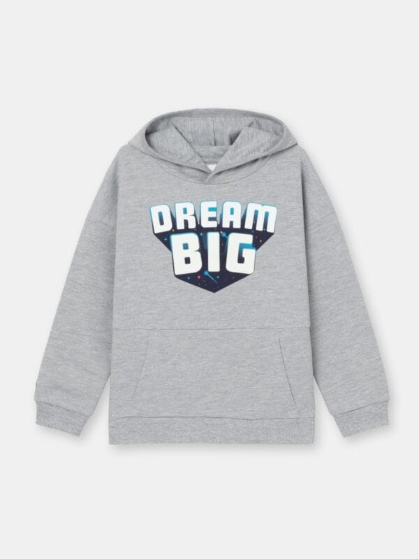 Grijze trui’ ‘DREAM BIG’